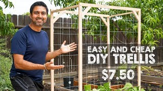 How to Make Easy and Cheap Trellis [upl. by Tomkiel684]