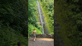 Check out Manoa Falls in Oahu [upl. by Prager420]