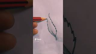 Neem ki Patti pencildrawing drawing AAartist [upl. by Nerrej]