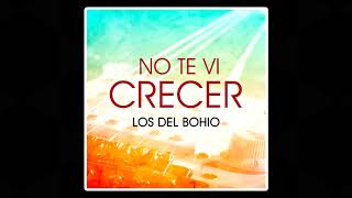 Los Del Bohio  No Te Vi Crecer [upl. by Cl]