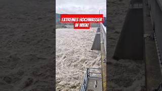 Extremes Hochwasser am 14092024 in Wien heavyrain unwetter viralvideo hochwasser foryou [upl. by Neelyaj723]