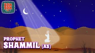 Quran Stories In English  Prophet Shammil AS  English Prophet Stories  Quran Cartoon [upl. by Enetsirhc]