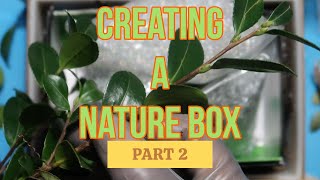 Nature Box Pt 2 [upl. by Aracal]