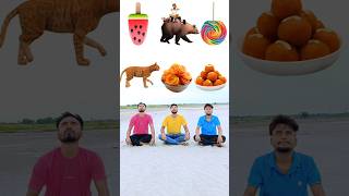 Eating laddu jalebi lolipop icecream fish honey cake vs cat bear elephant catching game 😄 [upl. by Theodosia643]