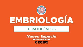 PARALELO DE EMBRIOLOGÍA  TERATOGÉNESIS [upl. by Ahsiekam]