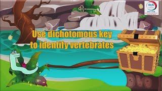 Identification of Vertebrates  Dichotomous Key [upl. by Pandich263]