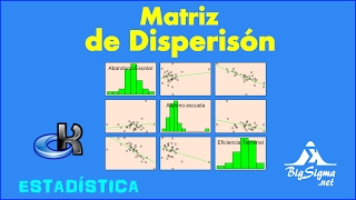 Cómo hacer una Matriz de Dispersión [upl. by Ardiedal958]