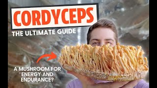 Zombie Fungus or Energy Mushroom The Ultimate Guide To Cordyceps [upl. by Jorgensen]