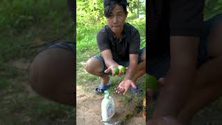 Bushcraft skills The Guy show SURVIVAL skills with Shampoo and Lemon useful forest camping [upl. by Calen]