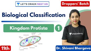 Biological Classification  Kingdom Protista  Part 1  Class 11th  NEET Biology  NEET 20212022 [upl. by Durand687]