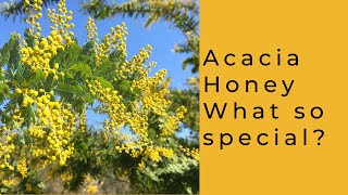 Acacia Honey What is so special [upl. by Jocelin241]