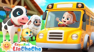 Las Ruedas del Autobús  Versión Animales de Granja 2  LiaChaCha en Español  Canciones Infantiles [upl. by Eelinnej604]