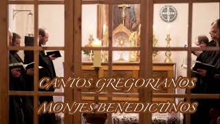 CANTOS GREGORIANOS MONJES BENEDICTINOS [upl. by Kramlich305]