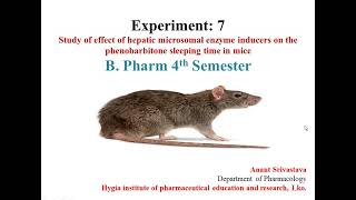 Study the effect of hepatic microsomal enzyme inducers on the phenobarbitone sleeping time in mice [upl. by Lerrad]