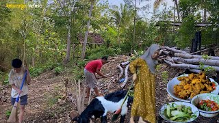 aktivitas sore bersama keluarga masak ayam goreng krispisambel iris tumis pakcoy masakan desa [upl. by Namyac34]