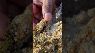 Is This The TASTIEST Rock On Earth rockhounding satisfying gemstones [upl. by Favata]