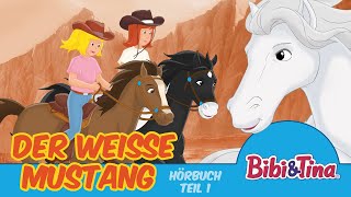 Bibi amp Tina Hörbuch Der weiße Mustang  1 Stunde Entspannung Teil 1 [upl. by Revkah68]