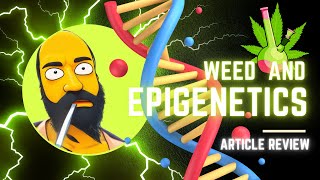 Is Cannabis Use Linked To Epigenetics [upl. by Jer942]