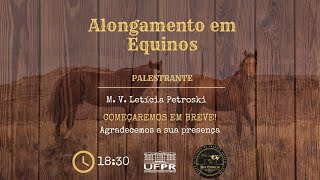 Alongamento em Equinos  M V Letícia Petroski [upl. by Hairahcez]