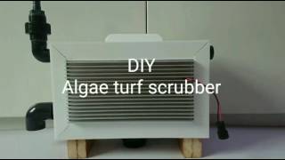 DIY Algae Turf Scrubber [upl. by Teddi]