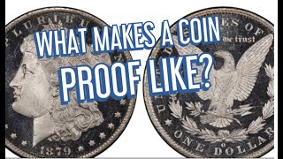 WHAT MAKES A COIN PROOFLIKE [upl. by Urba324]