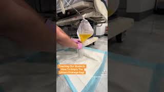 How to empty a urinary drainage bag nursing ng [upl. by Hallee]