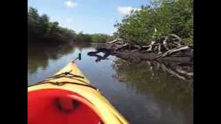 Kayaking in Jug Creek [upl. by Buiron117]