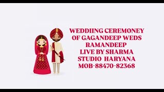 WEDDIING CEREMONEY OF GAGANDEEP WEDS RAMANDEEP LIVE BY SHARMA STUDIO MOB88470823689779182100 [upl. by Yelak]