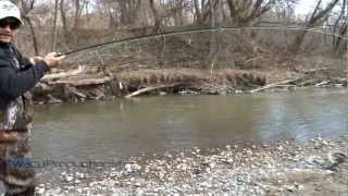 Oshawa Creek Rainbow Trout Fishing [upl. by Lourie]