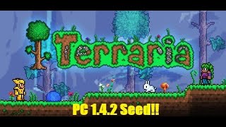 Outdated  New Seed Soon Terraria 142  Aglet Seed [upl. by Udelle]