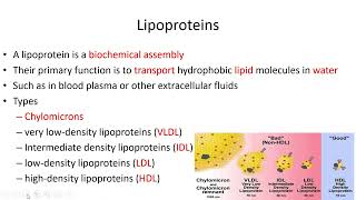 Lipids Classification  Lecture 7c [upl. by Cleaves]