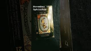 Ophiuchus  November 15 2024  Daily Tarot Card [upl. by Riesman905]