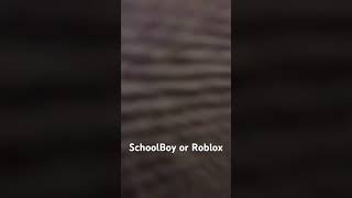 SCHOOLBOY OR ROBLOX [upl. by Ahsial]