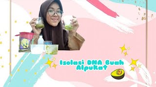 Uji Praktikum Biologi  Isolasi DNA pada Buah Alpukat [upl. by Elleraj]