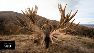 Venator New Zealand  Three Massive Red Stags Scoring Over 900 SCI [upl. by Gilus280]