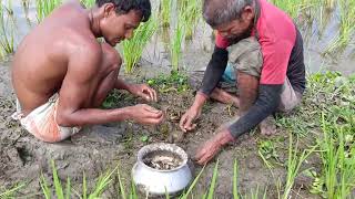 দেখেন কতগুলো মাছ। Tiger Agro [upl. by Ignacius584]