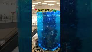 Jeddah Airport Saudi Arabia 🇸🇦🌴🥰 saudarabia travel shortvideo jeddah muslimcountry newvideo [upl. by Dumah]