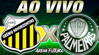 NOVORIZONTINO x PALMEIRAS AO VIVO Paulistão 2024  Narração [upl. by Ronym]