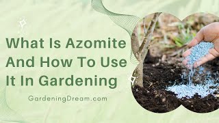 What Is Azomite And How To Use It In Gardening [upl. by Misty]