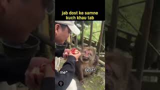 jab dost ke samne kuch khaaun to dost ka expression 🤣 monkey cute funny funnyanimals [upl. by Ettelocin]