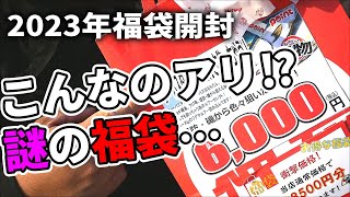 売り場で異様な雰囲気を放つ「シーバスタックルで何でも福袋」が気になったので実際買ってみました。 [upl. by Ursulette93]