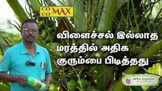 Tamil Coconut Online Farmer MrRajagopal giving feedback about our Cocomax result [upl. by Ayahsey]