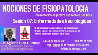 fisiopatologia 07 Enfermedades neurologicas [upl. by Kyle]