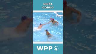 Epic Water Polo Goals by Niksa Dobud shorts waterpolo vaterpolo pallanuoto vizilabda sport [upl. by Hymie]