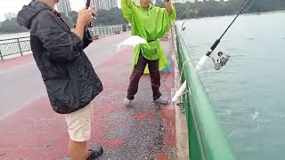 Bedok Jetty rainy days still can get good fish [upl. by Ahsirpac555]