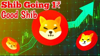 Shiba Inu Coin Latest Updates 📣 SHIBA INU COIN NEWS TODAY 🥰 Shiba Inu Coin Price Prediction 2024 [upl. by Strenta]