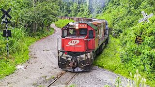 Trem Contornando as Montanhas Subindo a Serra  Locomotivas ALLRumo [upl. by Arley]