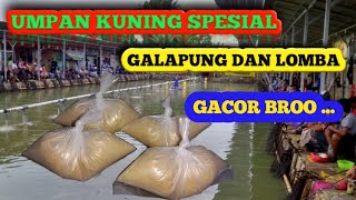 MANCING MANIA  RACIKAN UMPAN KUNING BROO GALAPUNG DAN LOMBA  JAMIN GACORR BROO [upl. by Refotsirc]