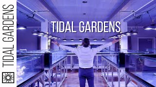 Welcome to Tidal Gardens Channel Trailer [upl. by Ruhtra982]