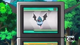 Swoobat Pokédex Entry  The Four Seasons Of Sawsbuck [upl. by Yetsirhc496]